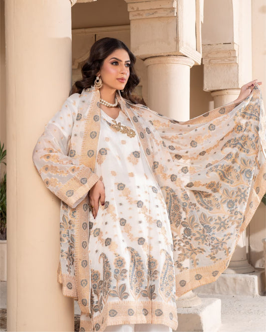 3 Piece Embroidered on Khadi Net suits|RC 24-04