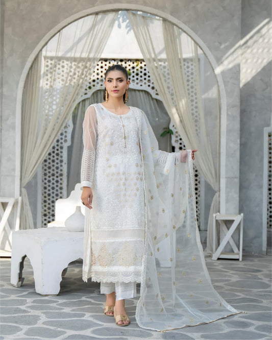 3 Piece Embroidered on Khadi Net suits |RC 24-14