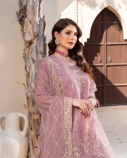 3 Piece Embroidered on Khadi Net suits|RC 24-03