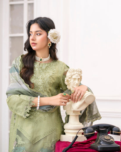 3 Piece Lawn Cotton Embroidered Dress with Pulse Work & Crepe |RC 24-35