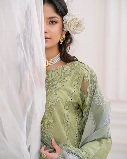 3 Piece Lawn Cotton Embroidered Dress with Pulse Work & Crepe |RC 24-35