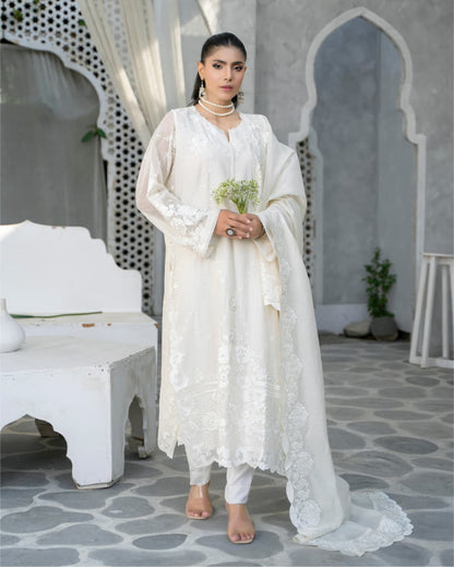 3 Piece Embroidered on Khadi Net suits |RC 24-17..