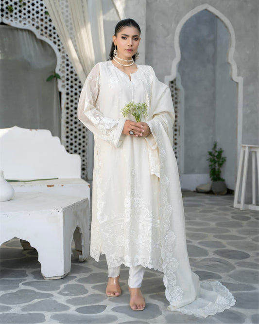 3 Piece Embroidered on Khadi Net suits |RC 24-17..