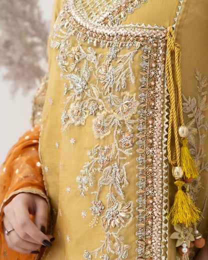 3 Piece Embroidered Organza suits |RC 25-001