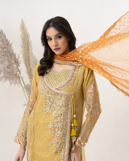 3 Piece Embroidered Organza suits |RC 25-001