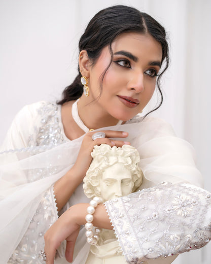 3 Piece Sheesha Silk Dress with Cutdana Embroidery & Cut Work Daman |RC 24-34