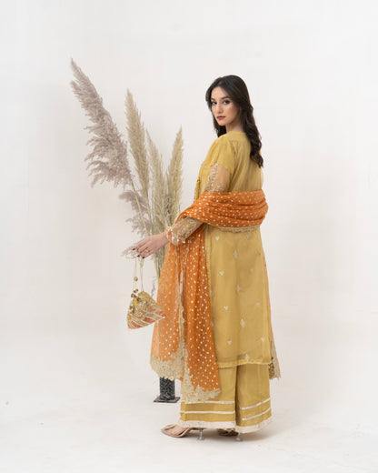 3 Piece Embroidered Organza suits |RC 25-001
